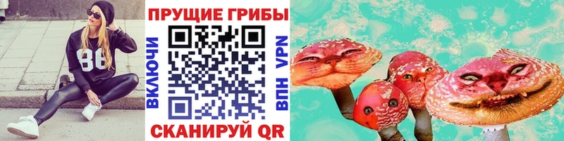 Галлюциногенные грибы мухоморы  Купить закладки  Липки 